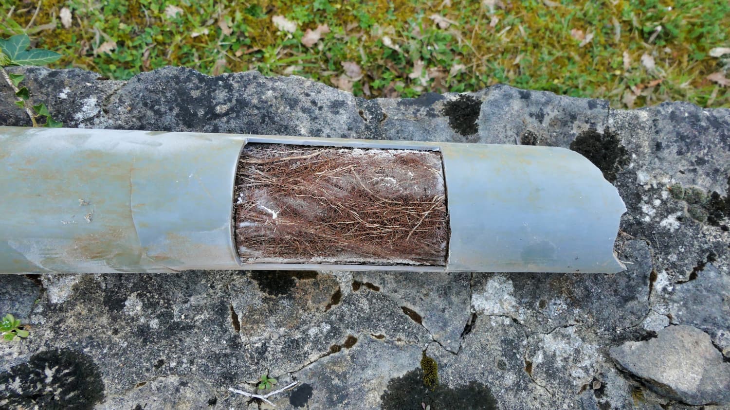 Drain Repairs